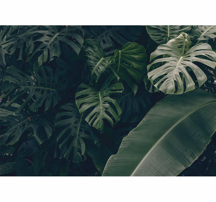 Bedroom blind in a beautiful green jungle forest - TenStickers