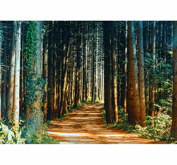 Bedroom blind beautiful nature path tree gate - TenStickers