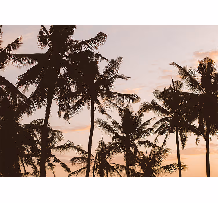 Bedroom blind sunset palm tree design - TenStickers