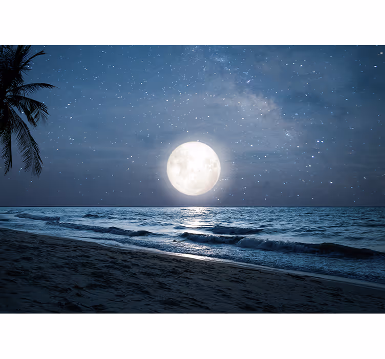 Bedroom blind beautiful moonlight over ocean - TenStickers