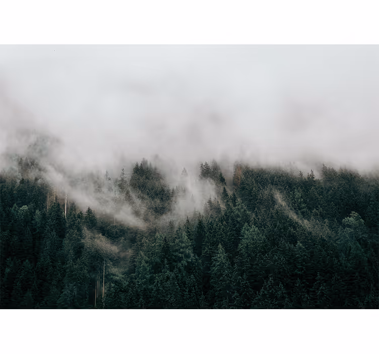 Bedroom blind forest misty clouds - TenStickers