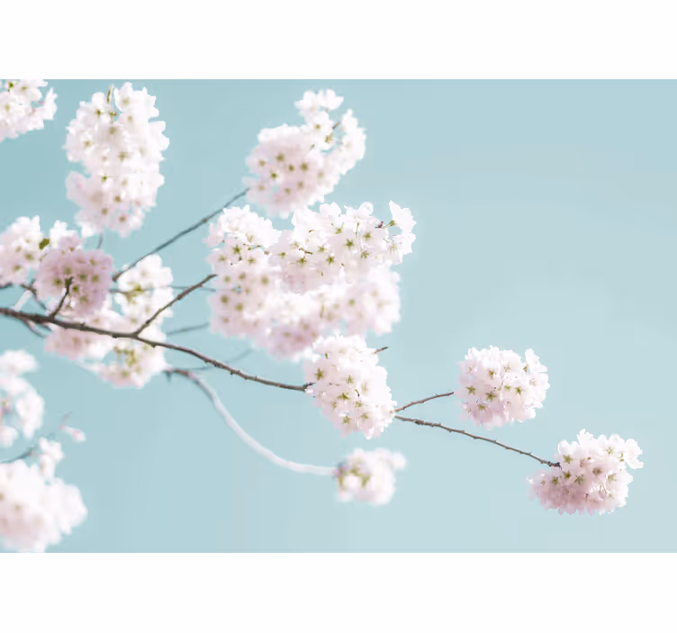 White roller blind with elegant feminine floral design - TenStickers