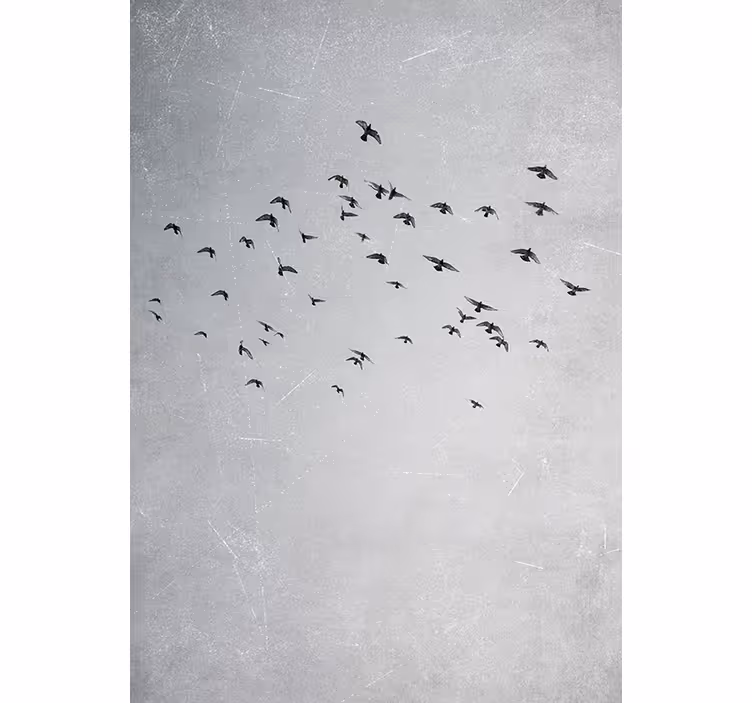 Bedroom blind with birds in flight - TenStickers