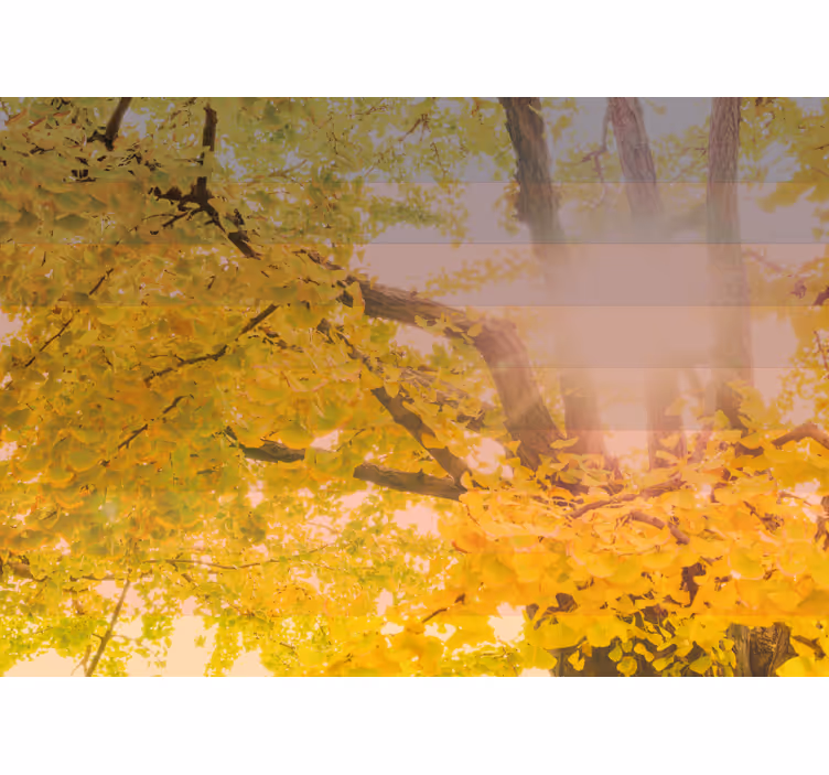 Blind kids sparkling autumn scene - TenStickers