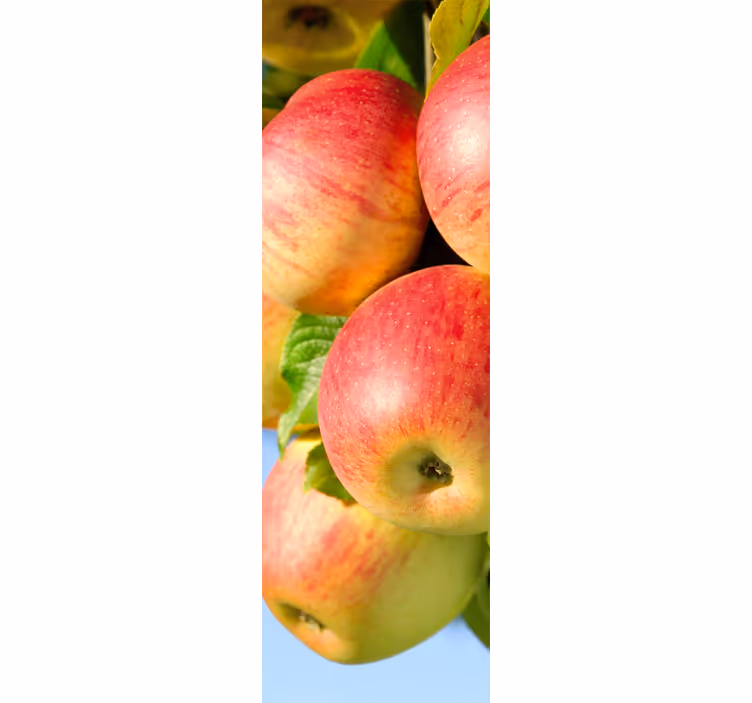 Blinds in a kitchen with decorative apple tree vinyl - TenStickers