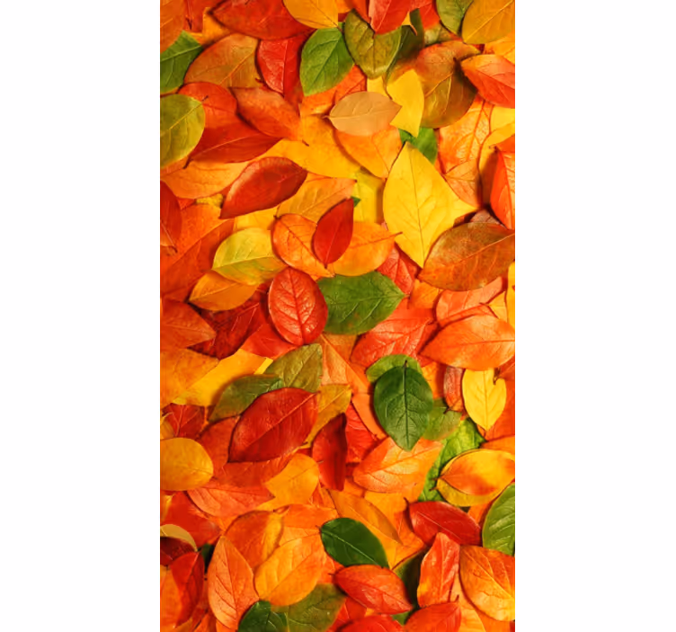 Blinds in a kitchen autumn leaf floor vinyl - TenStickers
