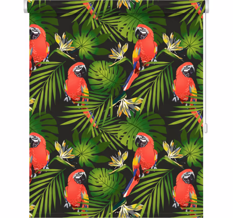Blinds in a kitchen with colorful parrots on gray - TenStickers