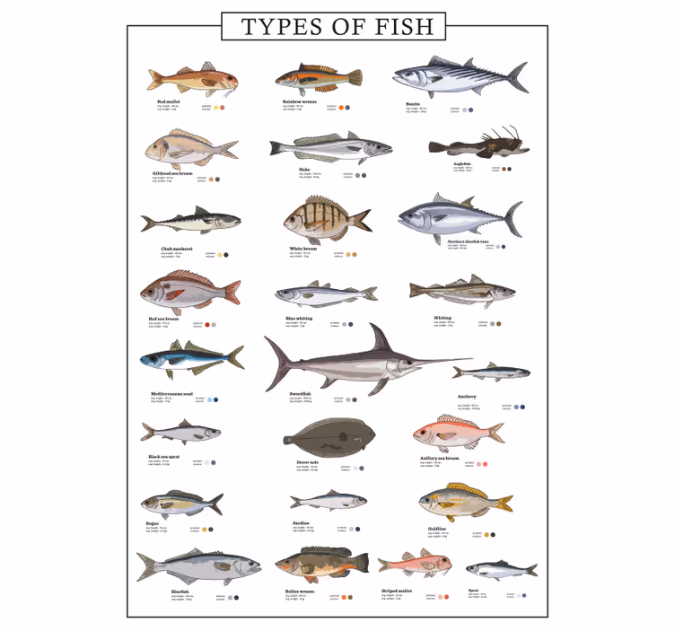 Blinds in a kitchen with fish designs - TenStickers
