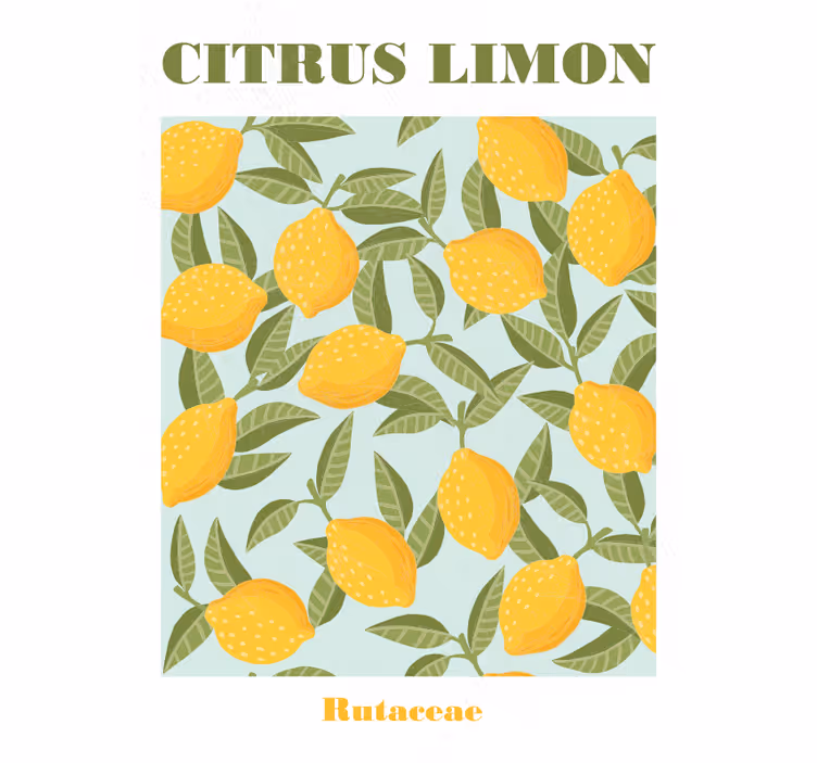 Lemon fruit blinds in a kitchen - TenStickers