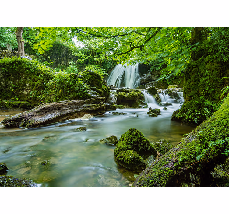 Bedroom blind 3d forest mural with waterfall river - TenStickers