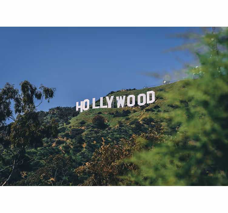Hollywood sign bedroom blind - TenStickers