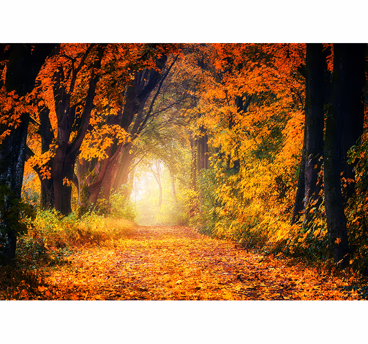 Bedroom blind in autumn's colorful forest - TenStickers