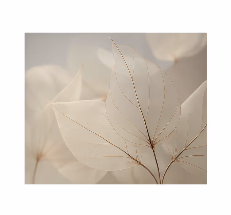 Living room blind white skeleton leaves - TenStickers