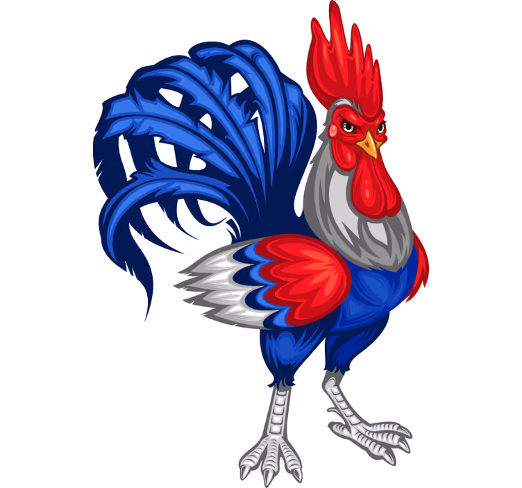 Teenage blind french rooster wall decal - TenStickers