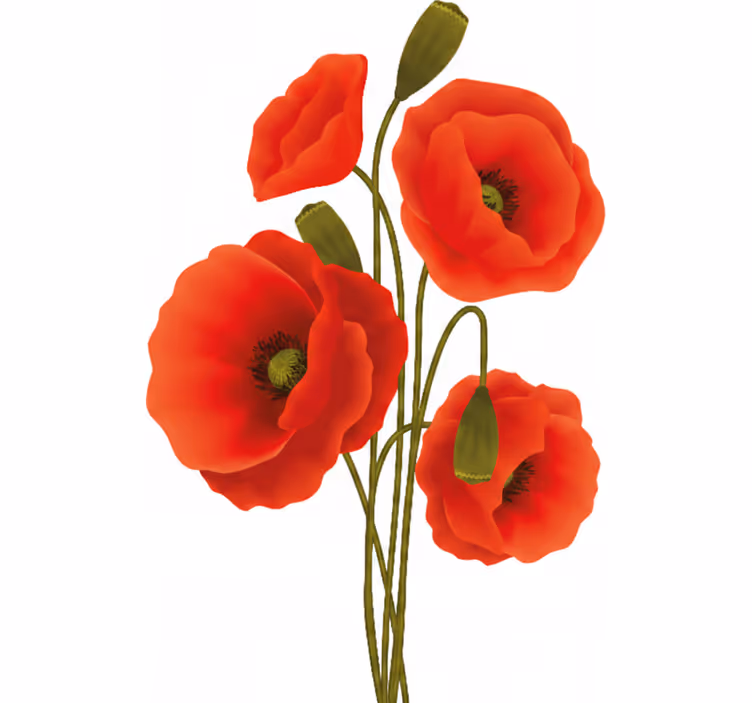 Floral blind poppies design - TenStickers