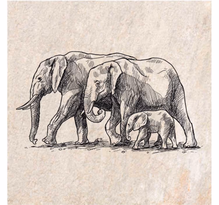 Animal blind sketch of elephants - TenStickers