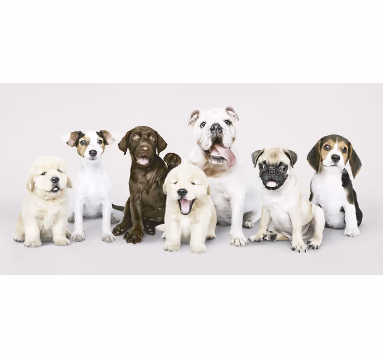 Animal blind for photography of dogs and puppies - TenStickers