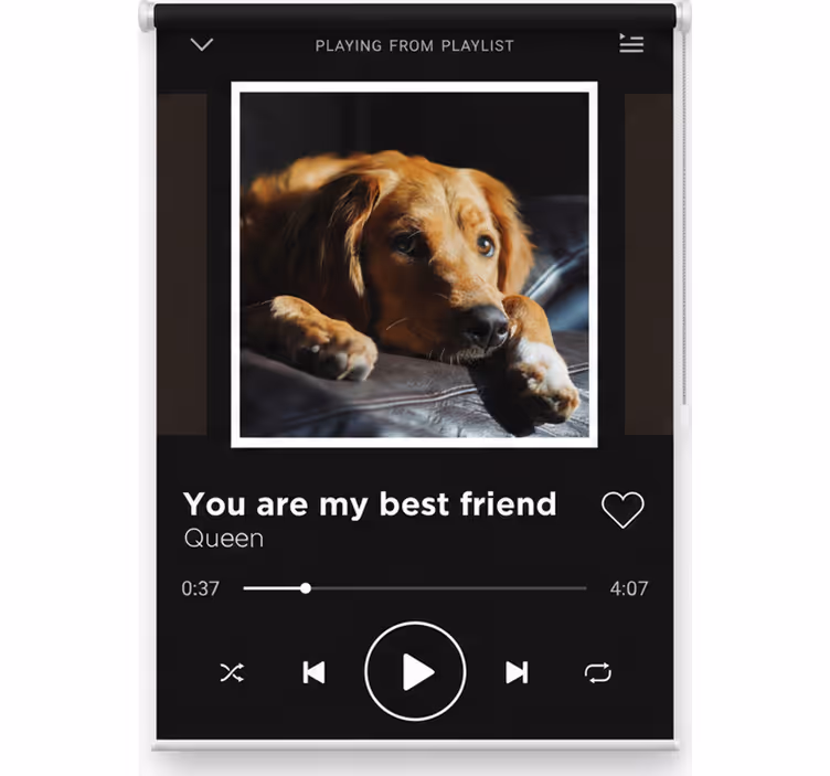 Teenage blind customizable music player - TenStickers