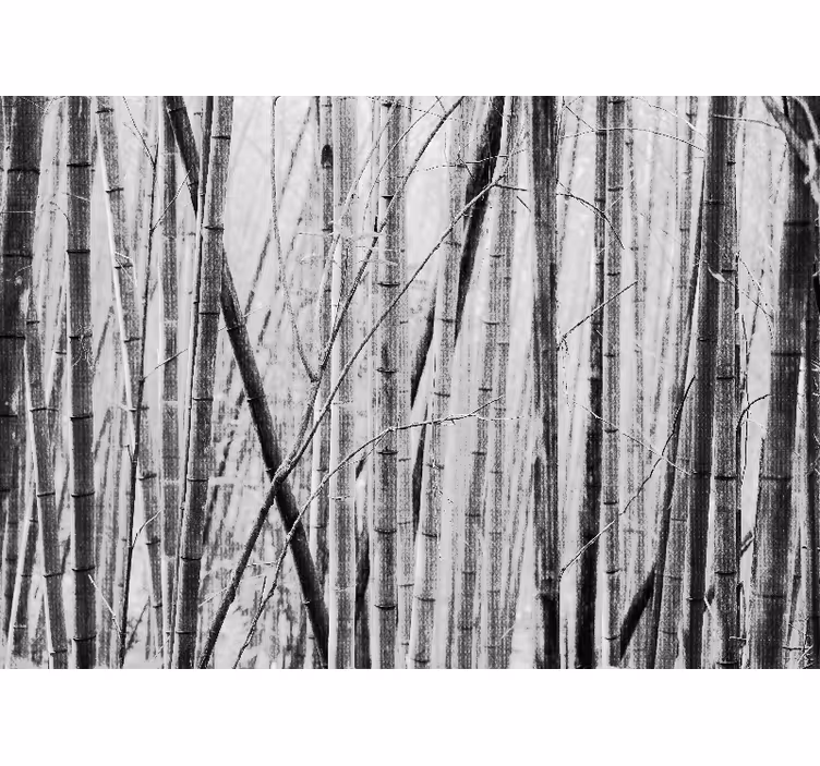 Rustic blind japandi gray bamboo fields - TenStickers