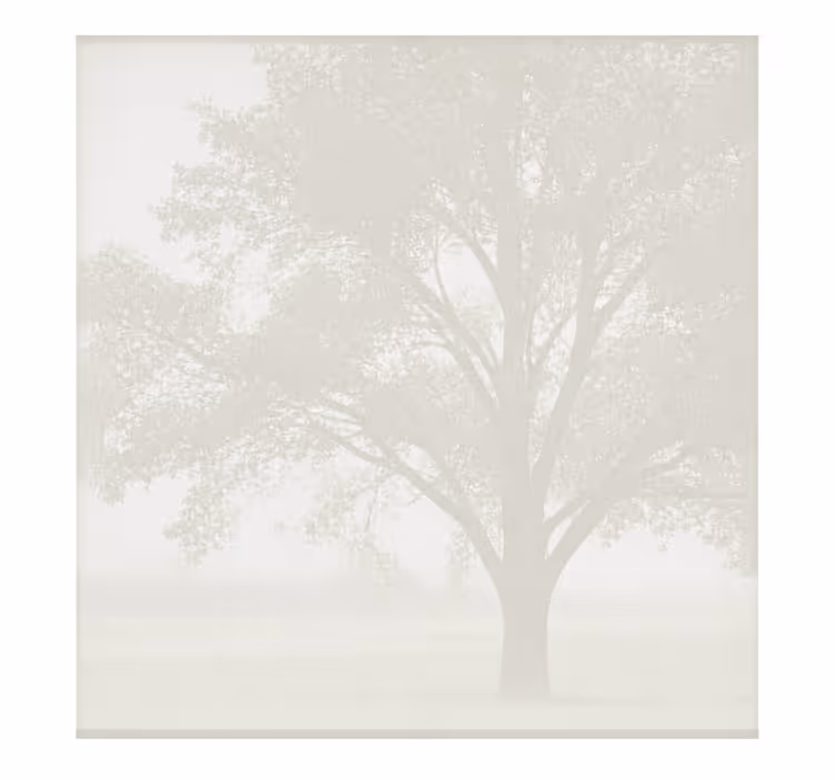 White roller blind for screen privacy - TenStickers