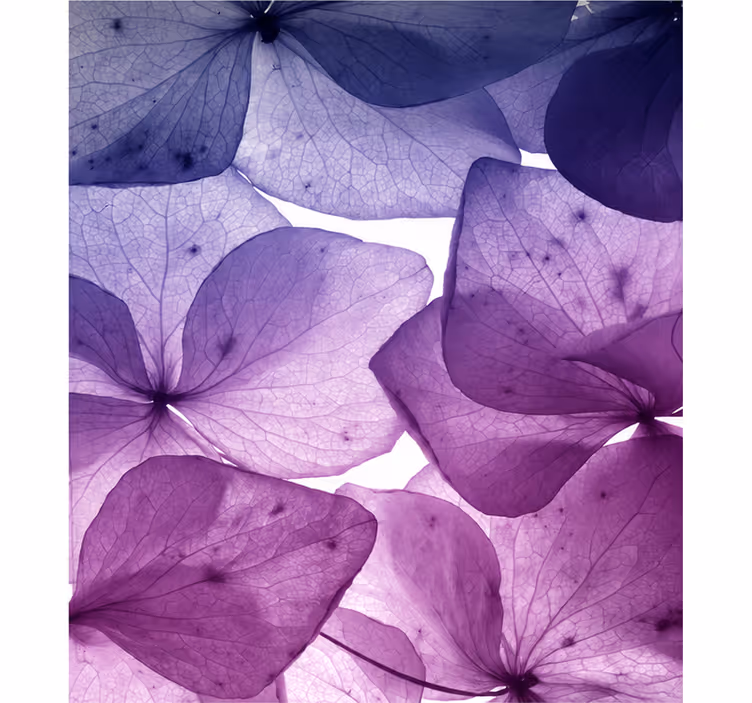 Floral joyful and serene roller blind purple - TenStickers