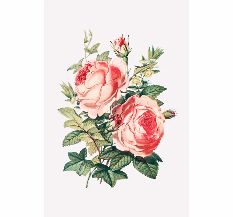 Romantic rose blooms blind flowers - TenStickers