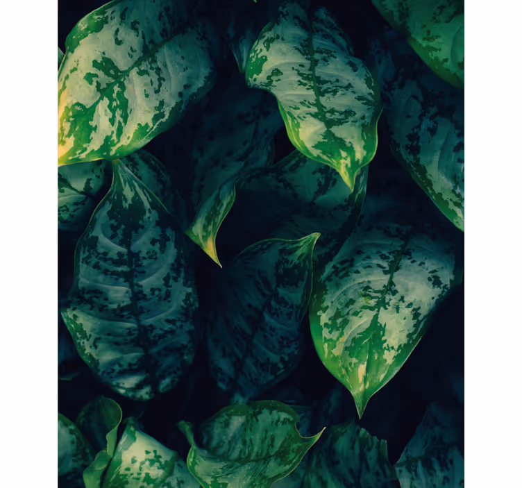 Vibrant green leaves blind flowers - TenStickers