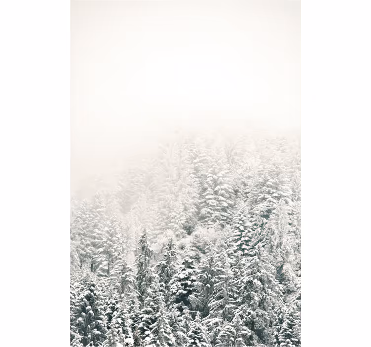 Snow-Covered Pines blind trees - TenStickers