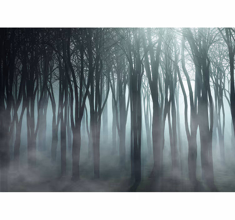 Misty Forest Silhouette blind trees - TenStickers