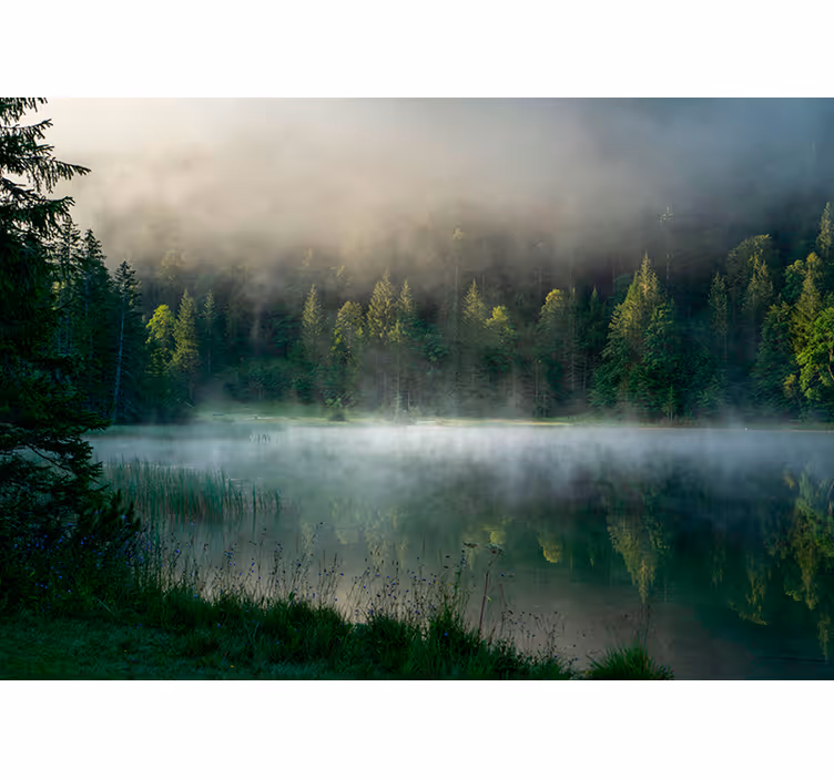 Misty Forest Reflection blind trees - TenStickers