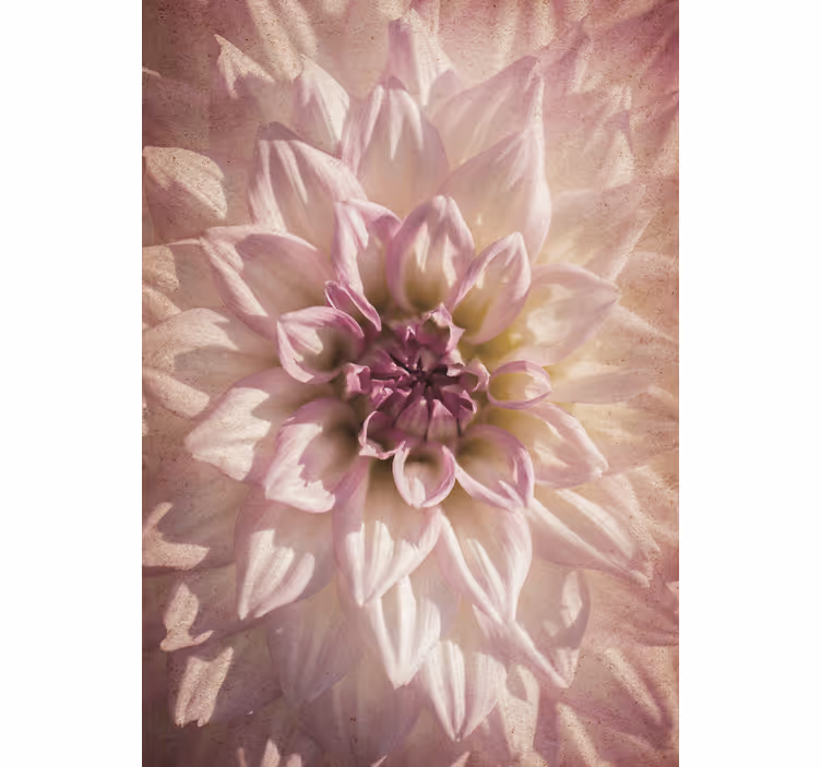 Delicate bloom blind flowers - TenStickers