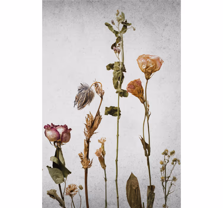 Dried Flower Arrangement blind flowers - TenStickers