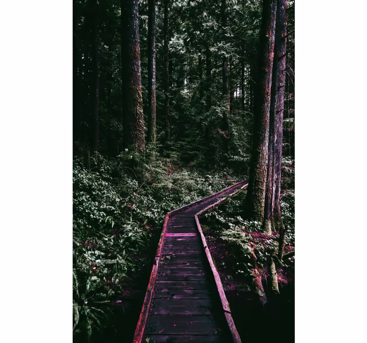 Forest Pathway blind trees - TenStickers