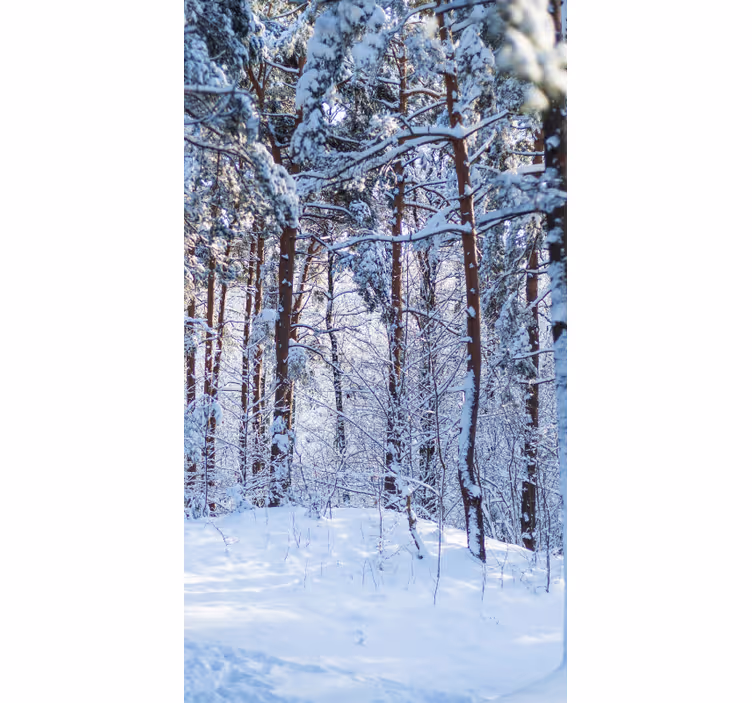 Snowy Pine Forest blind trees - TenStickers