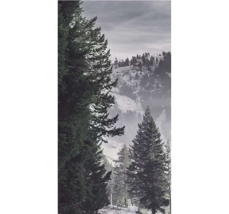 Majestic Mountain Pines blind trees - TenStickers
