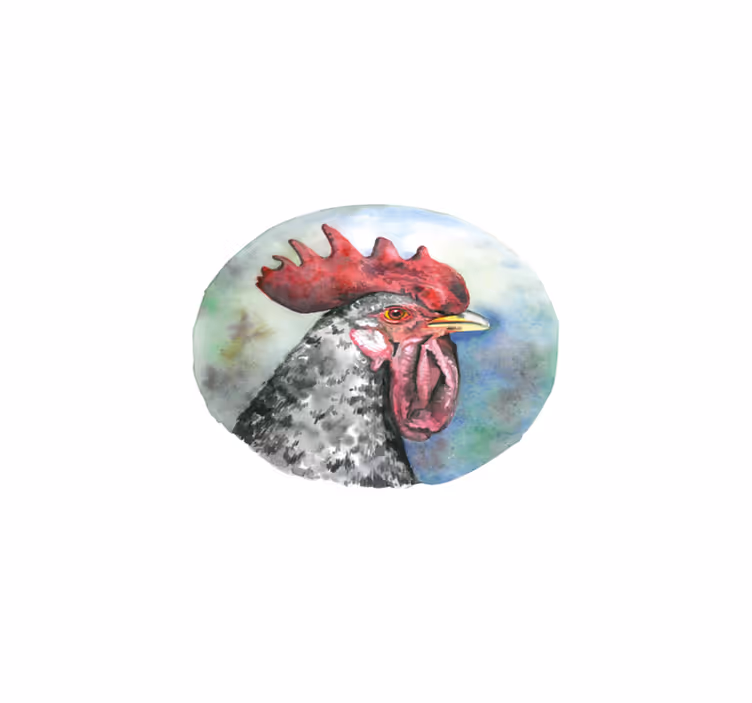 Original placemats colorful rooster portrait - TenStickers