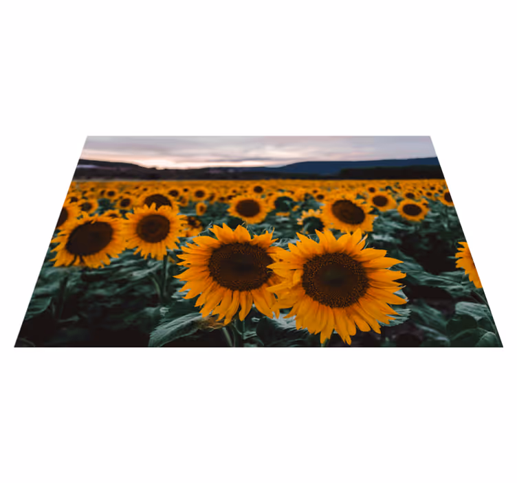 Original placemats sunflower field scene - TenStickers