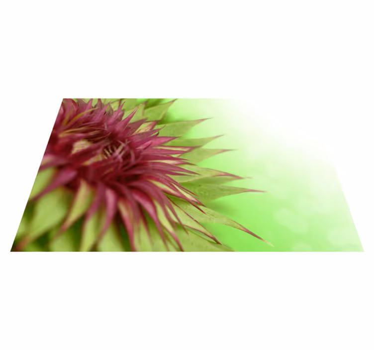 ThistleThistle is a flowering plant in the family Asteraceae. It  - TenStickers