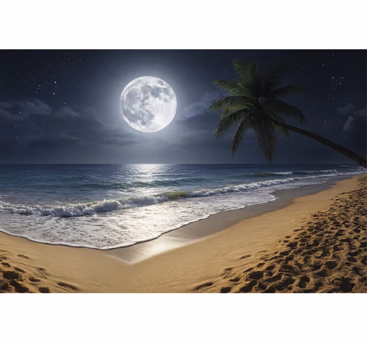 Sea wall mural full moon ocean mural - TenStickers
