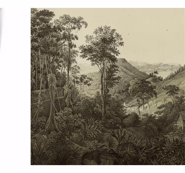 Forest wall mural hilly forest artwork - TenStickers