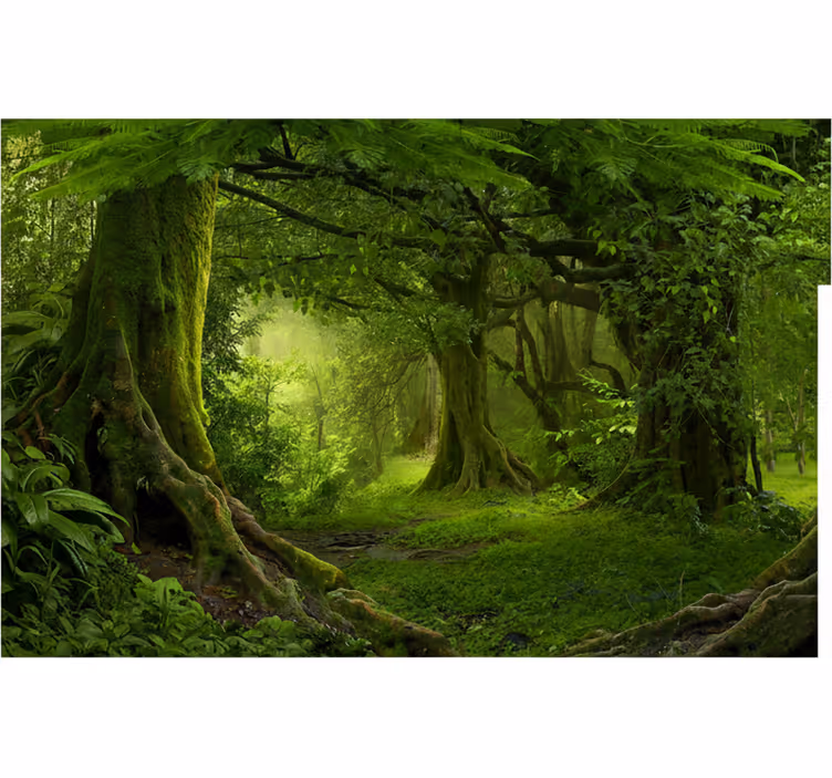 Forest wall mural lush woodland retreat - TenStickers