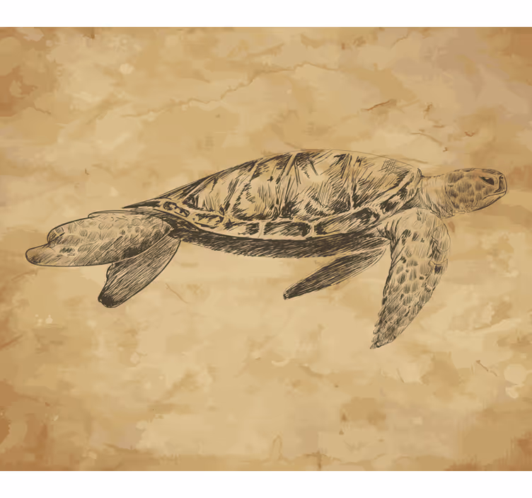 Wall mural beige turtle illustration - TenStickers