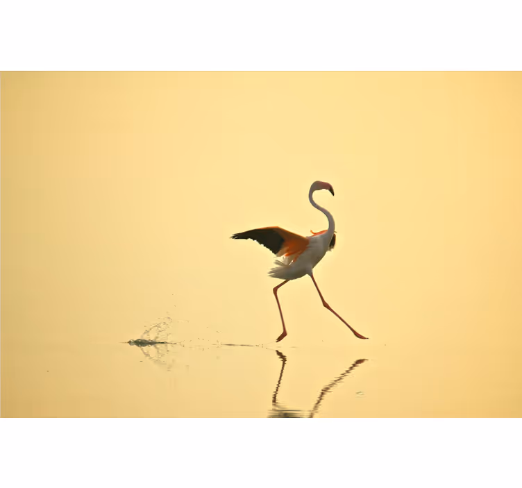 Yellow wall mural with funny running flamingos - TenStickers