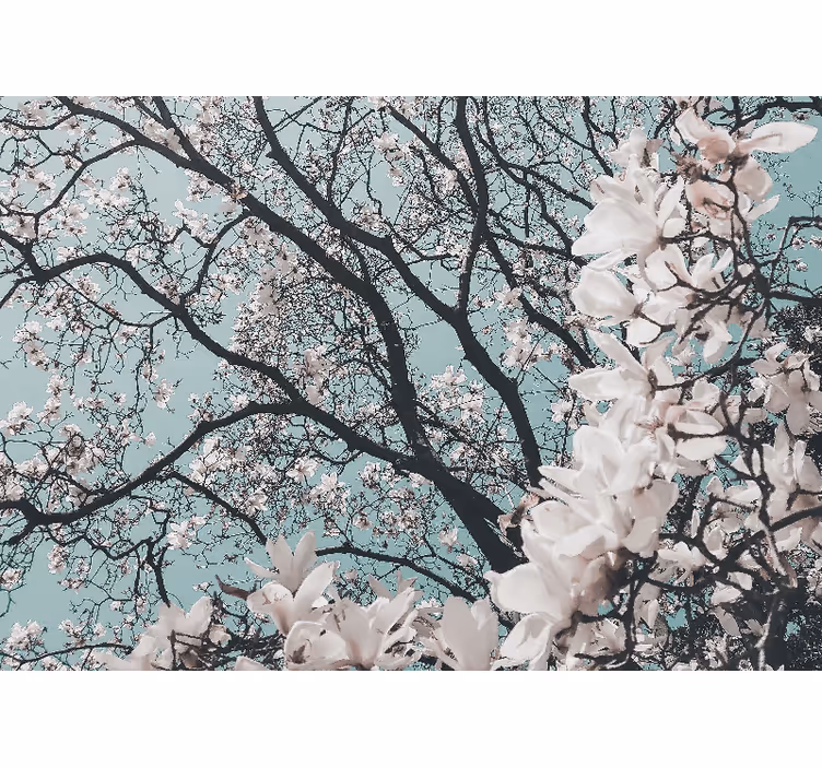 Wall mural entrance elegant style japanese cherry blossom - TenStickers