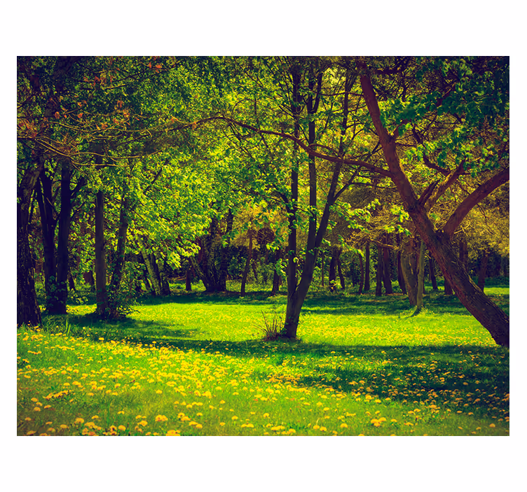Beautiful spring Forest Wall Mural - TenStickers