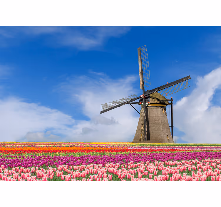 Tulip field and windmill wall mural - TenStickers
