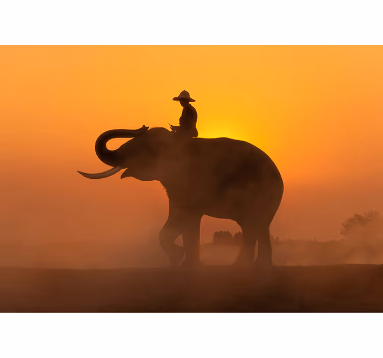 Silhouetted Elephant wall mural animals - TenStickers