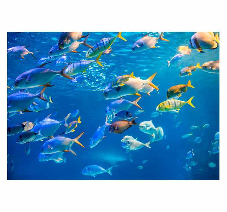 Wall mural animals underwater fish schooling - TenStickers