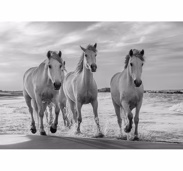 Wall mural animals regal horses in motion - TenStickers