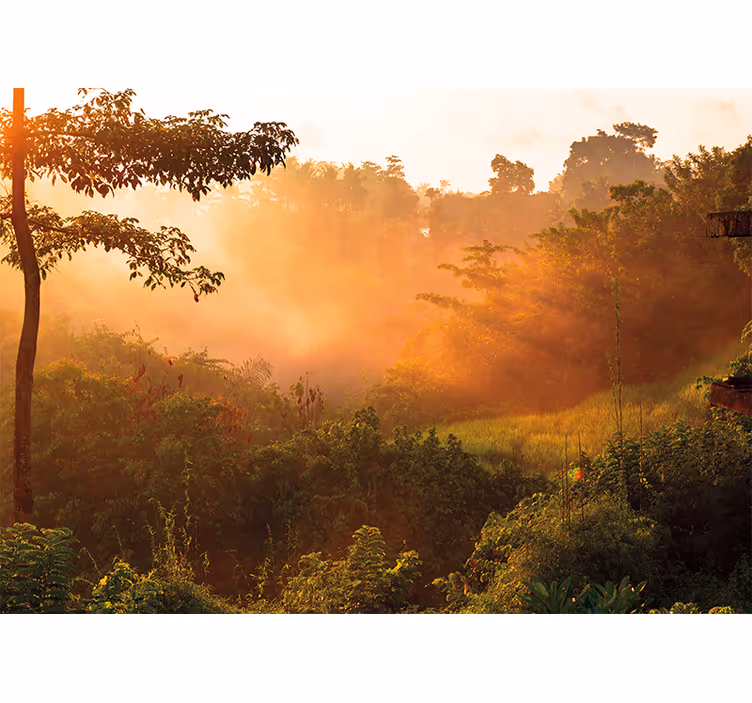 Nature wall mural tranquil woodland scene - TenStickers